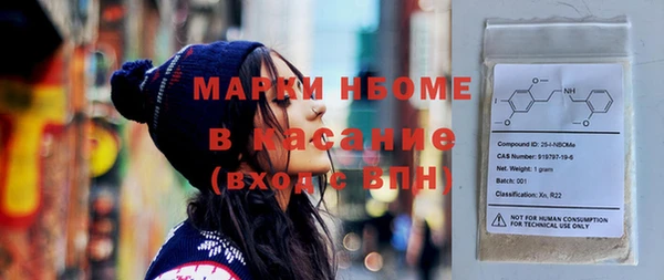 гашик Алексин