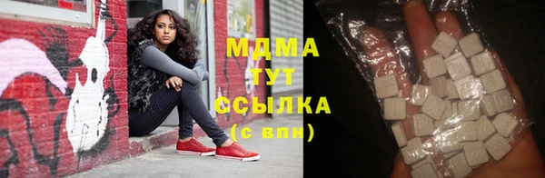 гашик Алексин
