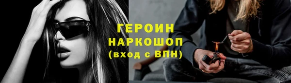 гашик Алексин