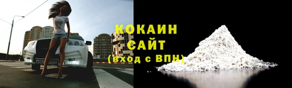 гашик Алексин