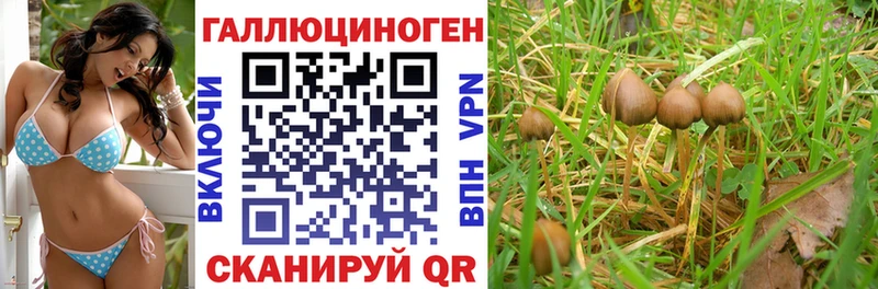 дарнет шоп  Ухта  Псилоцибиновые грибы Magic Shrooms 